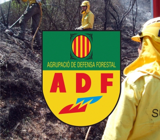 ADF Logo i imatge.jpg