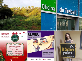 Collage Palau Noticies 4 desembre 2024.jpg