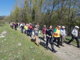 Caminada pel Municipi.jpg