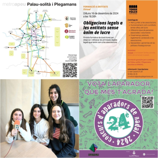 Collage Palau Noticies 18 desembre 2024.jpg