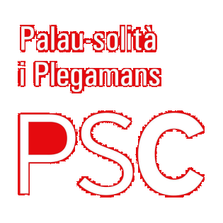 Logo PSC Palau web.png