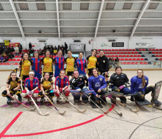 Partit Hoquei noies vs Merignac 8 febrer 2020.jpg